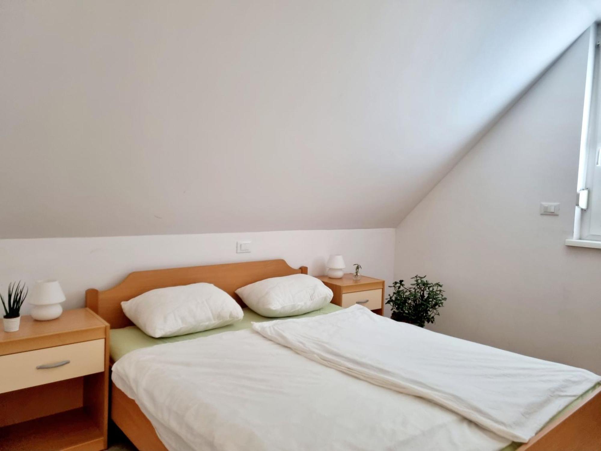 Apartmaji Pri Ticelnu Bovec Eksteriør bilde